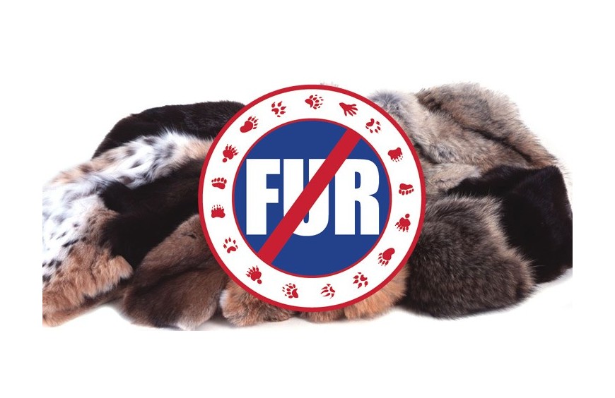 New Bill: How has fake fur established itself as a real alternative to the real one?